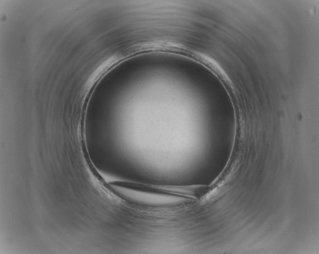 X0000076230946200610191554
