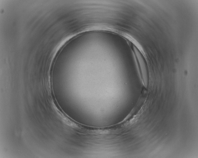 X0000076230996200610191553