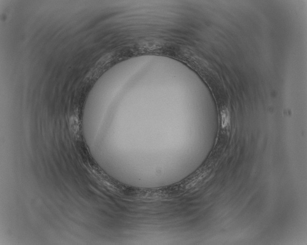 X0000076231011200610191552