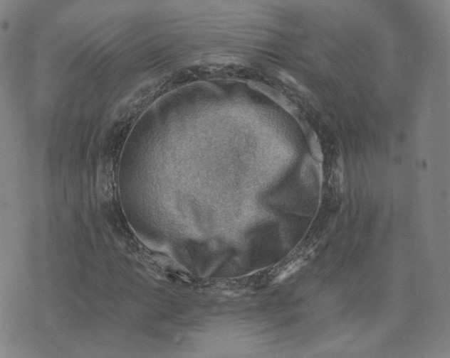 X0000076231014200610191552