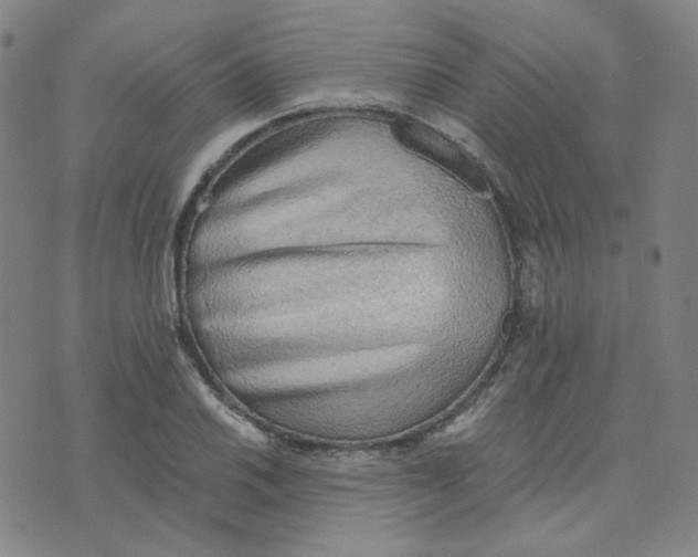 X0000076231030200610191553