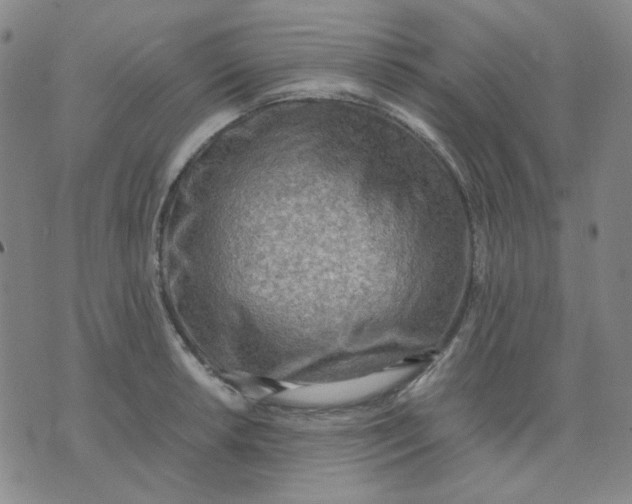 X0000076231042200610191553