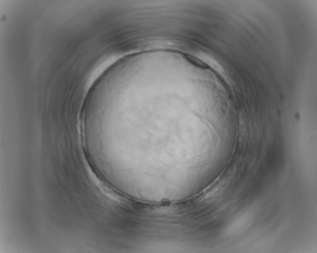 X0000076231047200610191553