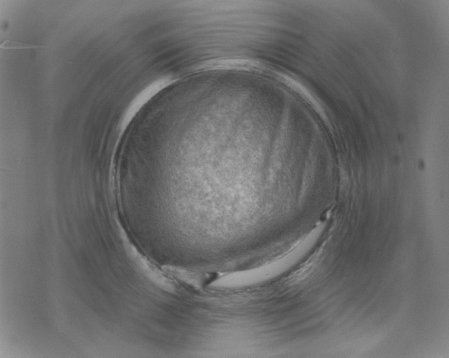 X0000076231050200610191553