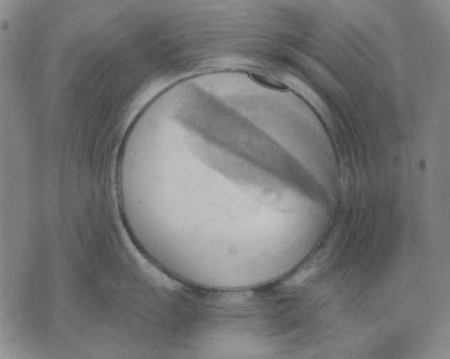 X0000076231055200610191553