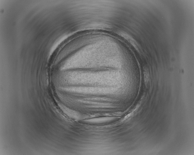 X0000076231069200610191552