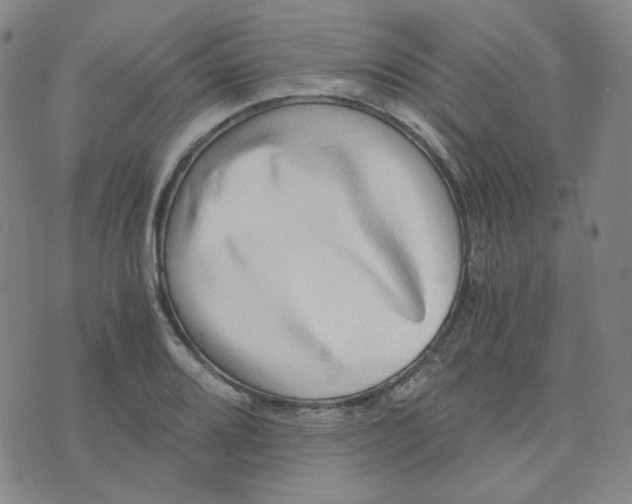 X0000076231080200610191552