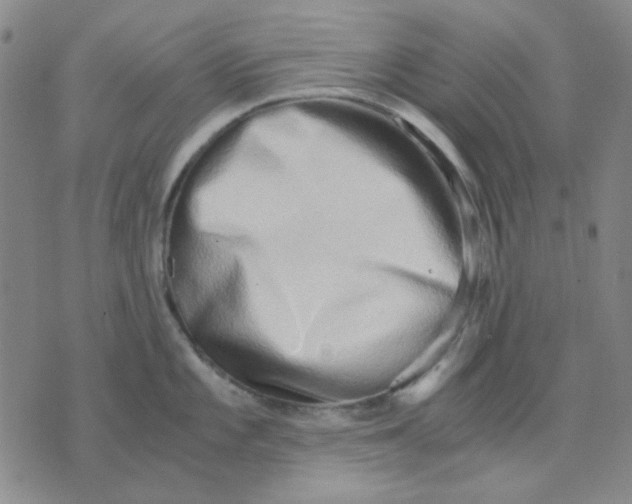X0000076231101200610191552