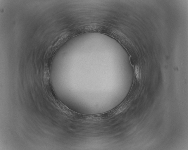 X0000076231107200610191551