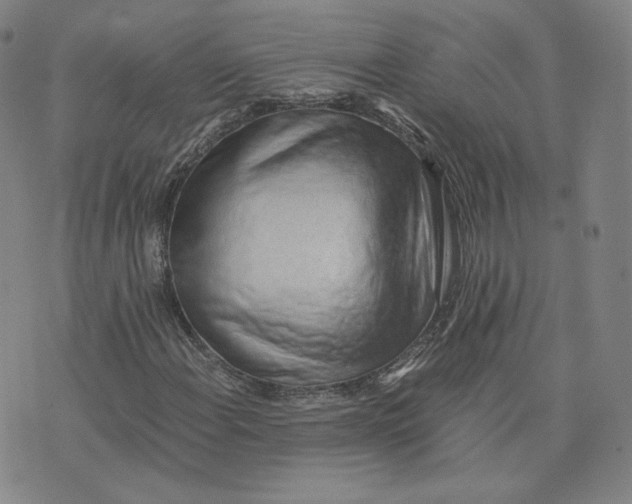 X0000076231108200610191551