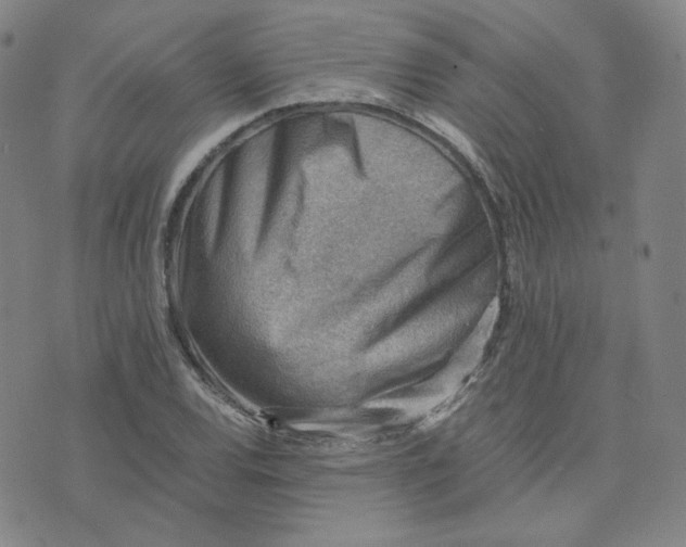 X0000076231120200610191551