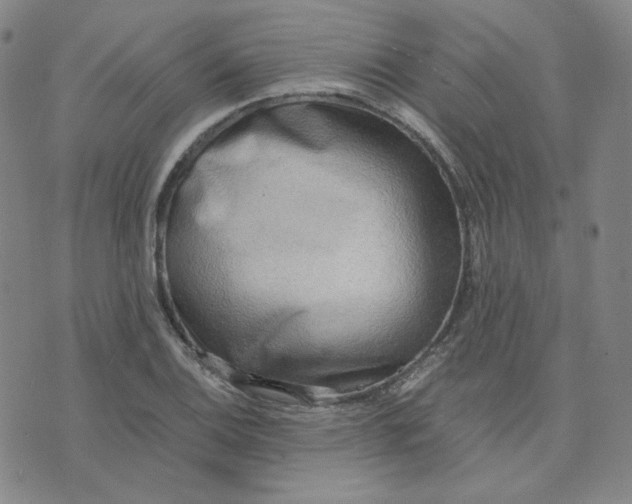 X0000076231124200610191551