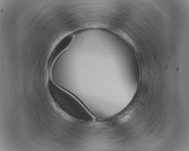 X0000076231132200610191551