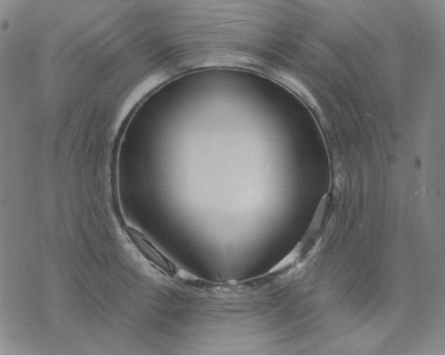 X0000076231138200610191551