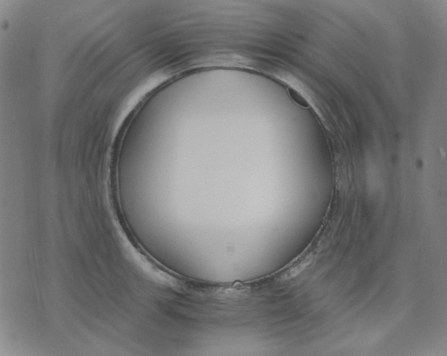 X0000076231139200610191551