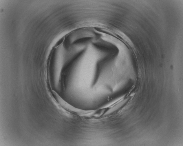 X0000076231144200610191551