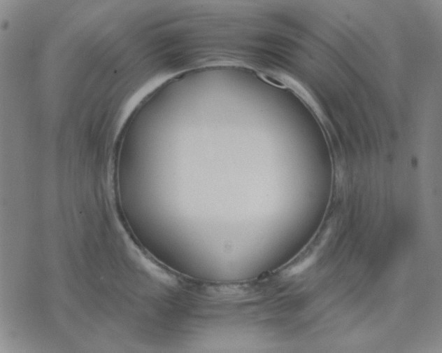 X0000076231149200610191552