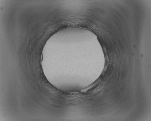 X0000076231153200610191551