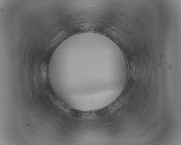 X0000076231154200610191551