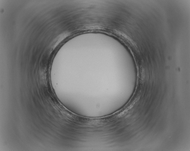 X0000076231162200610191551