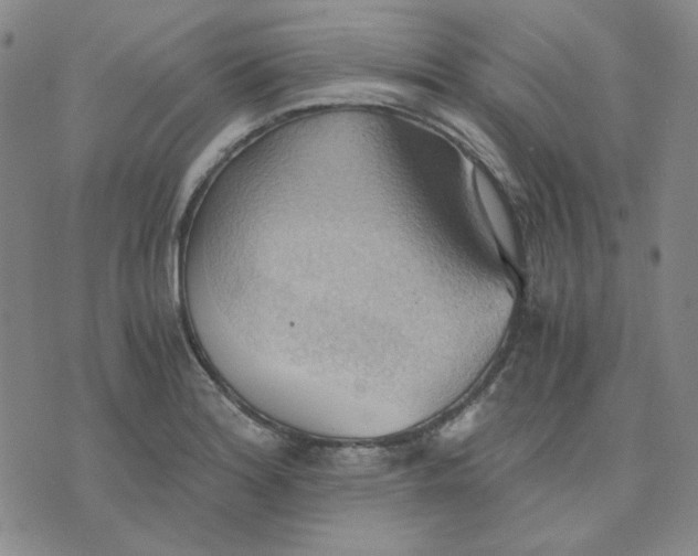 X0000076231180200610191550