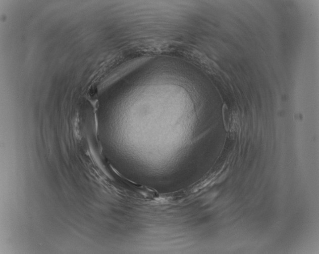 X0000076231202200610191549