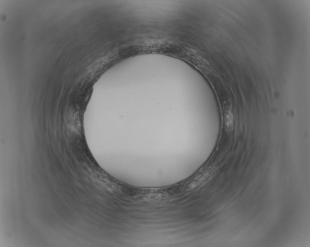 X0000076231204200610191549