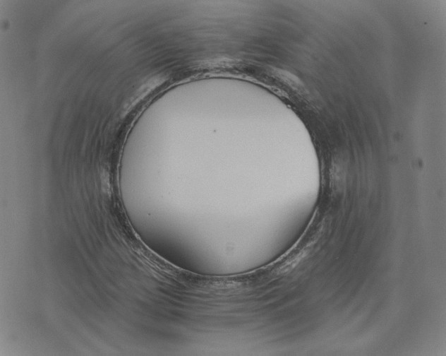 X0000076231209200610191549
