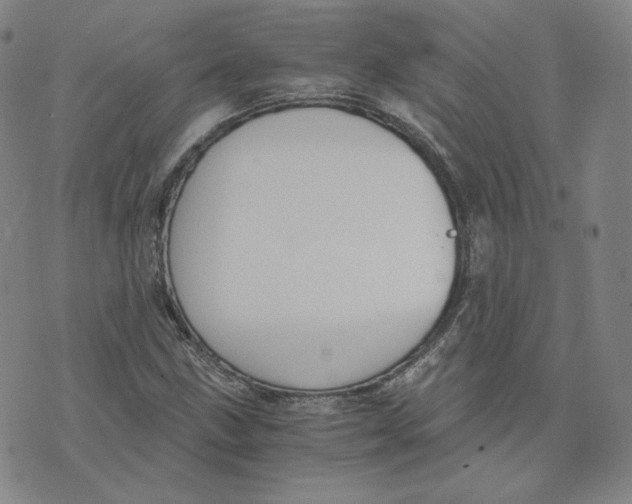 X0000076231211200610191549