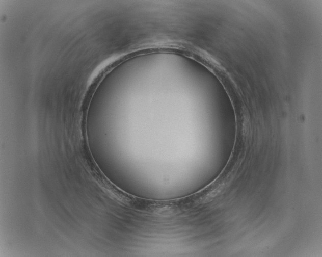 X0000076231222200610191549