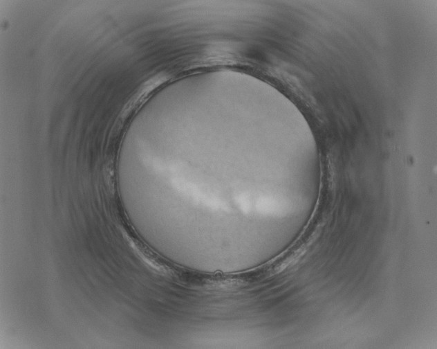 X0000076231225200610191550