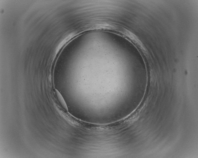 X0000076231234200610191550
