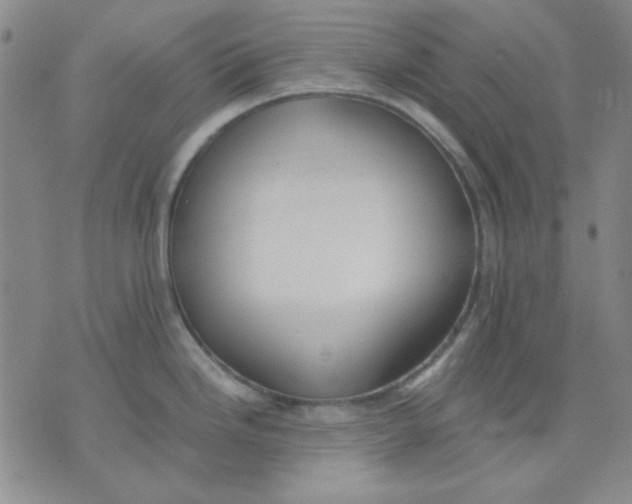 X0000076231246200610191550