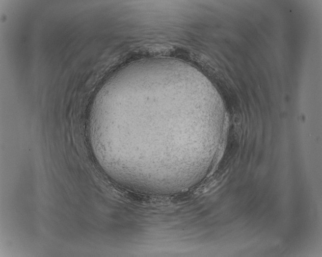 X0000076231249200610191549
