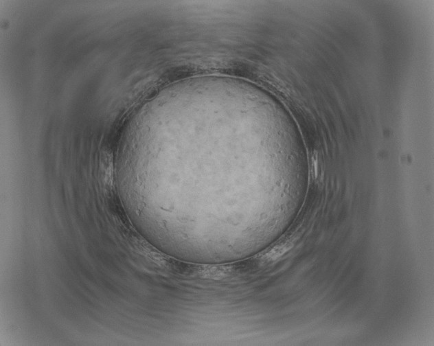 X0000076231251200610191549