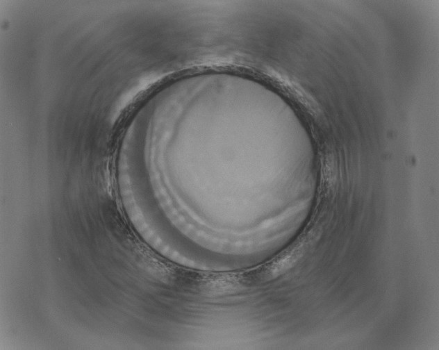 X0000076231262200610191549