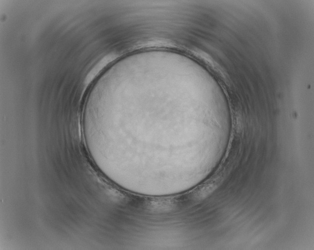 X0000076231274200610191549