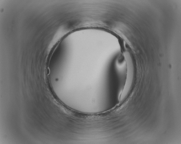 X0000076231277200610191549