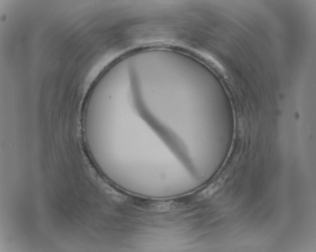 X0000076231279200610191549