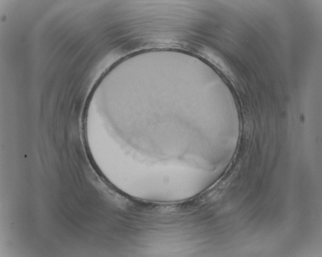 X0000076231283200610191549