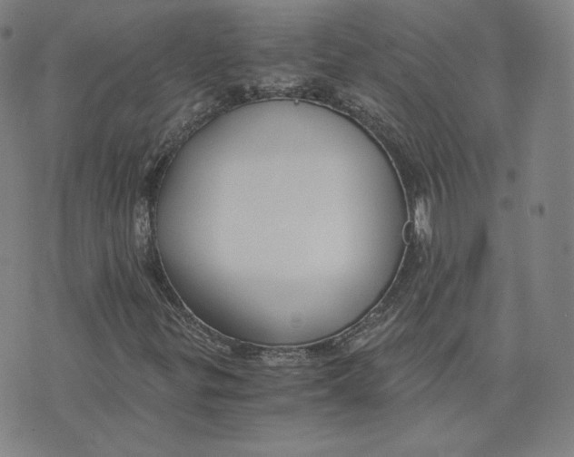 X0000076231299200610191548