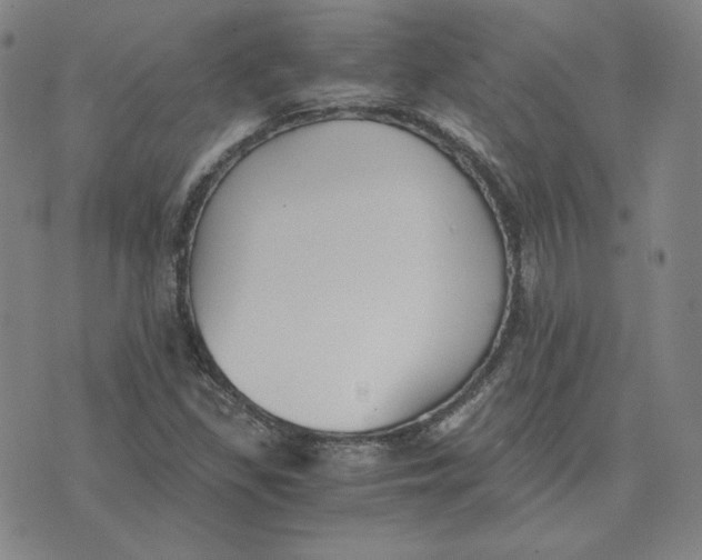 X0000076231309200610191548