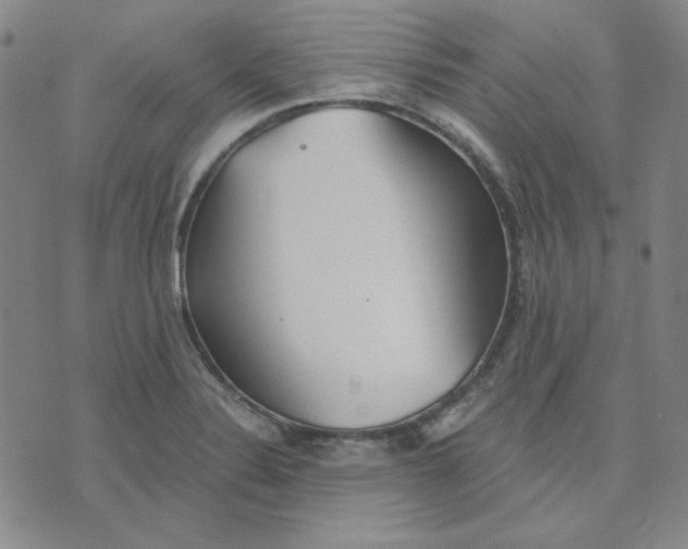 X0000076231324200610191548