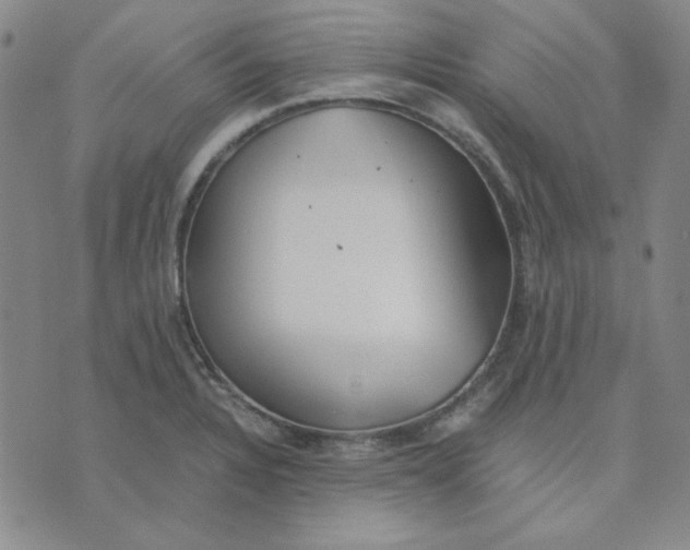X0000076231328200610191548