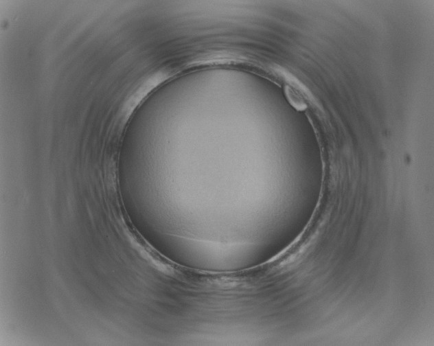X0000076231329200610191548