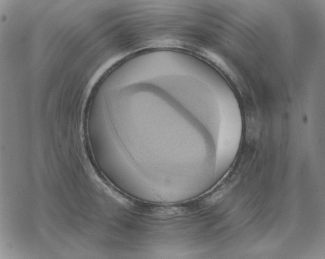 X0000076231331200610191548