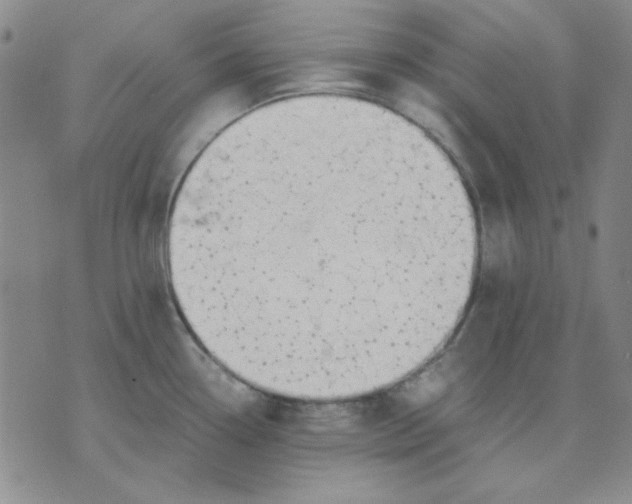 X0000076231338200610191548