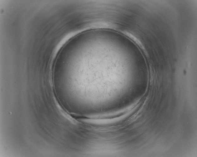 X0000076231342200610191548