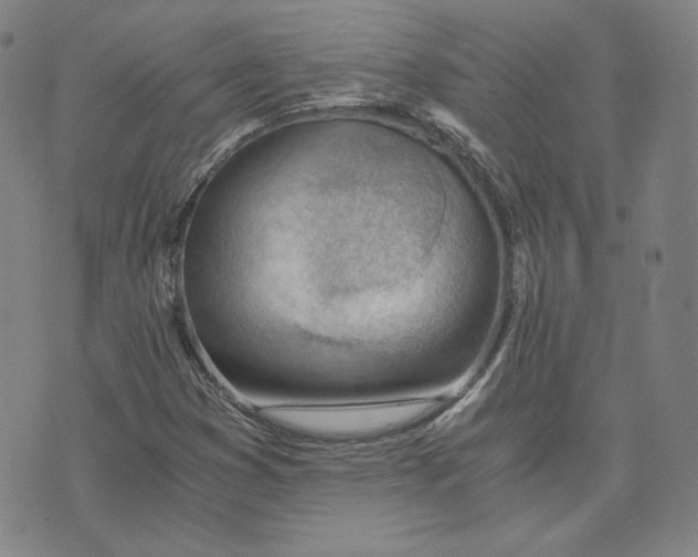 X0000076231353200610191547
