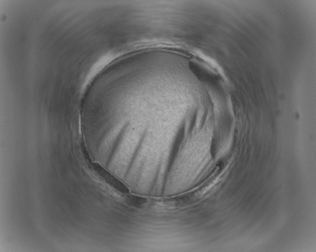 X0000076231365200610191547